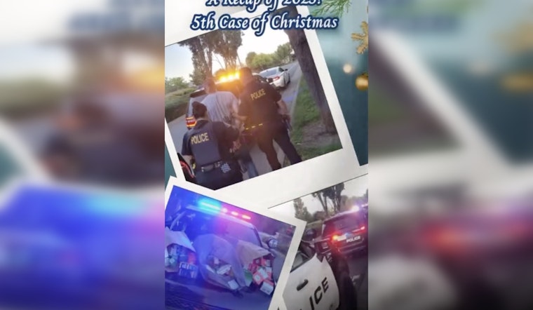 Rocklin COPPS Snags Suspected Target Raider In $20K Theft Blitz