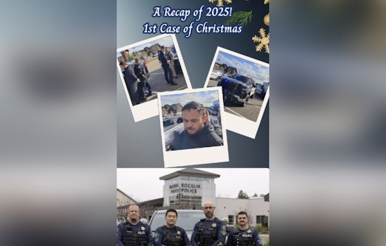 Rocklin Police Nab Sacramento Man in $45,000 Multicounty Shoplifting Spree