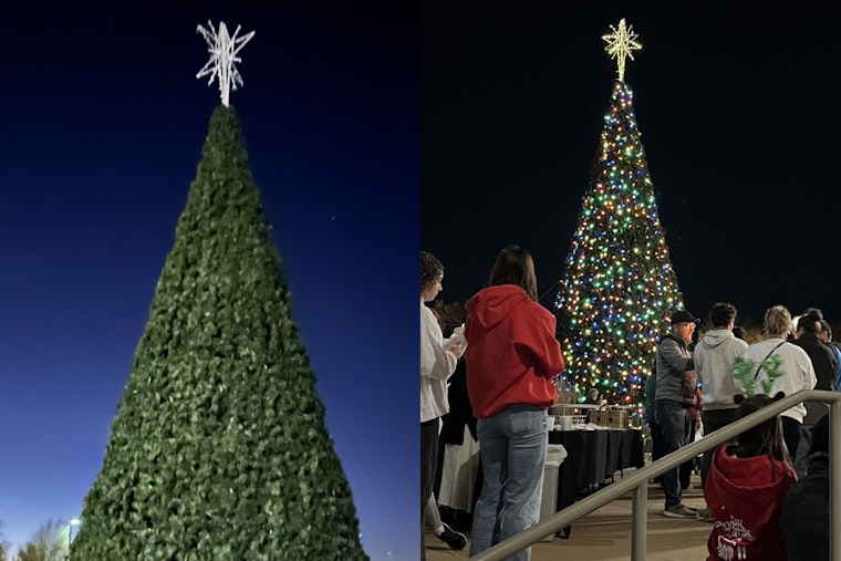Rockwall County Ignites Holiday Spirit with Annual Christmas Tree Lighting Ceremony