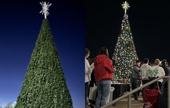 Rockwall County Ignites Holiday Spirit with Annual Christmas Tree Lighting Ceremony