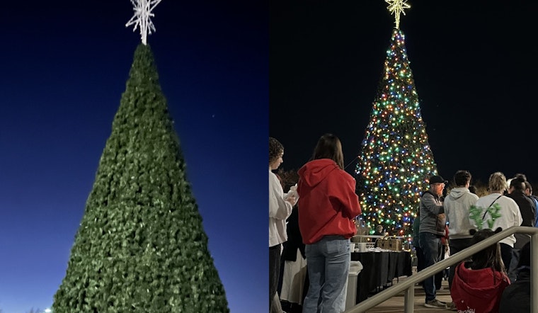 Rockwall County Ignites Holiday Spirit with Annual Christmas Tree Lighting Ceremony