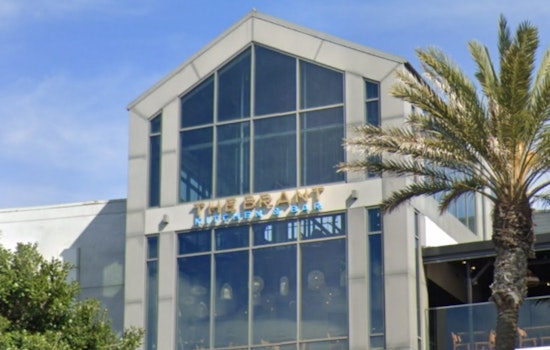 Rooftop Shake-Up: The Brant Swoops Into Encinitas With New Coast Highway Bar