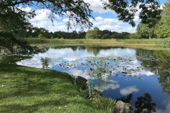 Rotten-Egg Reek From Kaneohe Pond Has Neighbors Crying Foul Over Illnesses
