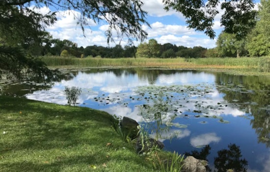 Rotten-Egg Reek From Kaneohe Pond Has Neighbors Crying Foul Over Illnesses