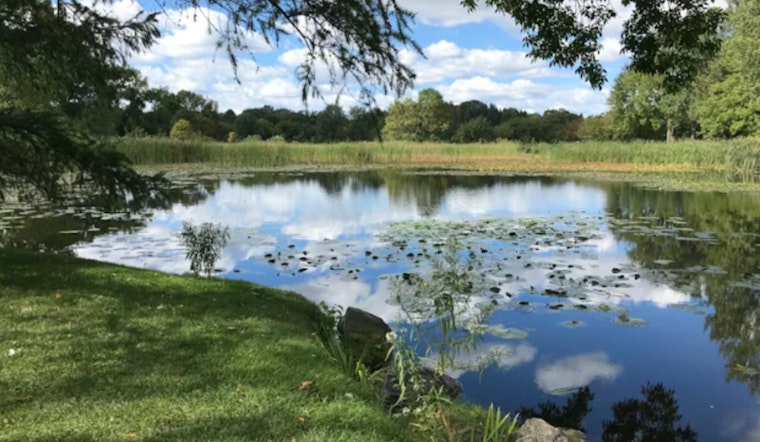 Rotten-Egg Reek From Kaneohe Pond Has Neighbors Crying Foul Over Illnesses