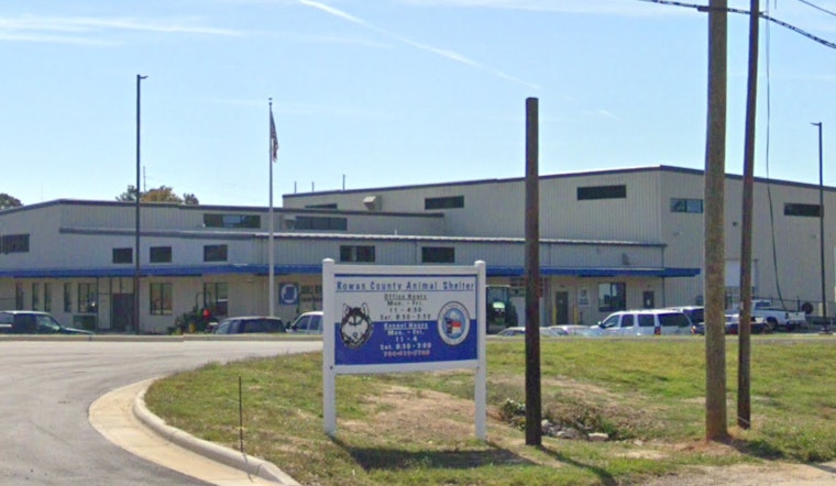 Rowan County Animal Shelter Launches Doggie Day Out Program and Discounts for 2026 Adoption Events in Salisbury