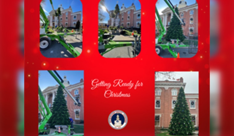 Rutherford County to Sparkle with New 30-Foot Christmas Tree at Main Street Murfreesboro Ceremony