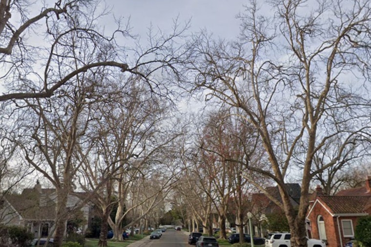 Sacramento Braces for Dense Fog and Potential Showers in Coming Week