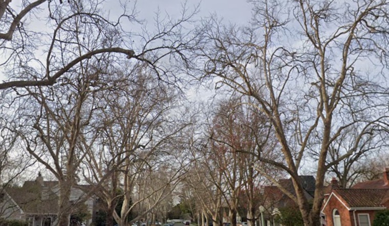 Sacramento Braces for Dense Fog and Potential Showers in Coming Week