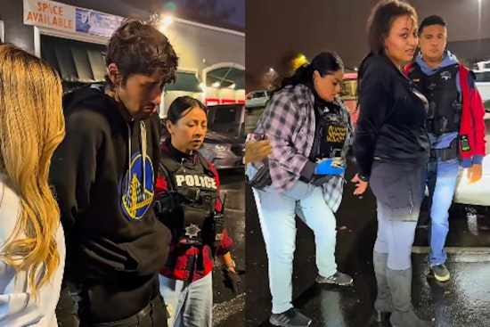 Sacramento County Sheriff's Office Announces 17 Arrests in Retail Theft Crackdown at Town and Country Village