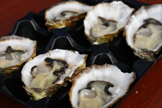Salmonella Outbreak Linked to Raw Oysters Affects 22 States; CDC Investigates as Cases Surface in Illinois