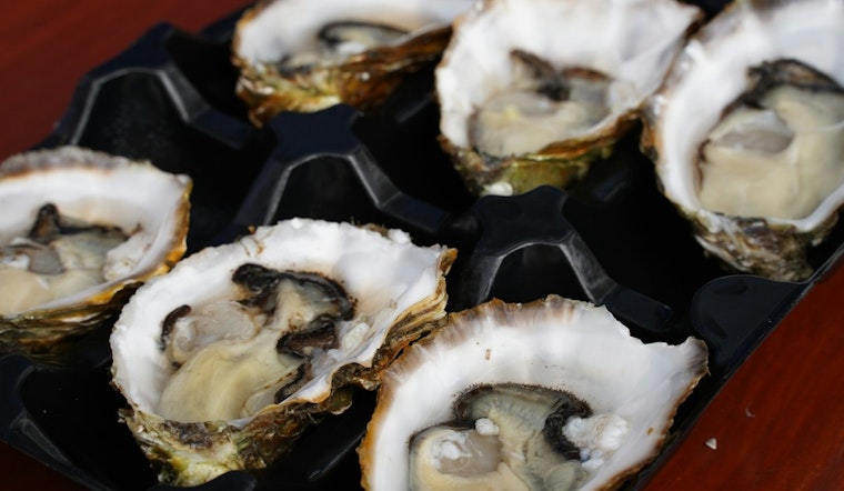 Salmonella Outbreak Linked to Raw Oysters Affects 22 States; CDC Investigates as Cases Surface in Illinois