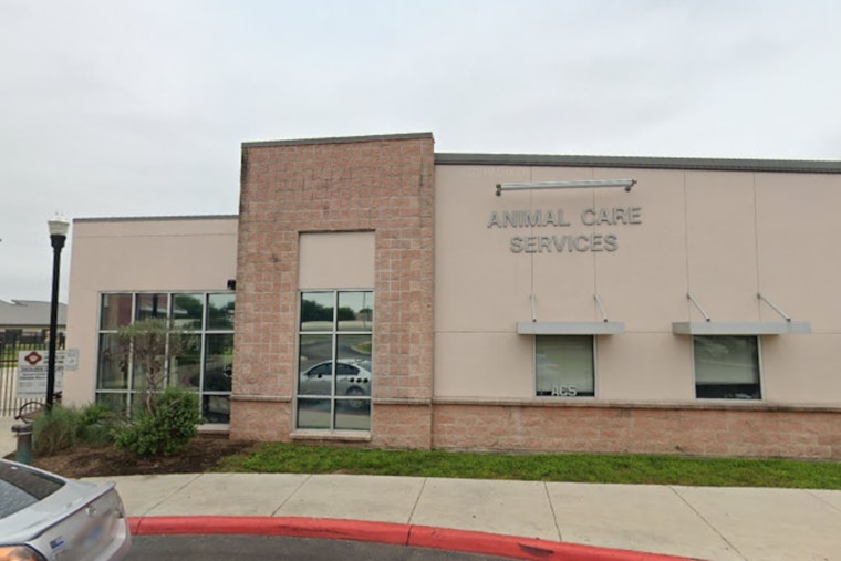 San Antonio Animal Care Services Advocates for Pet Adoption Over Purchase During the Holidays