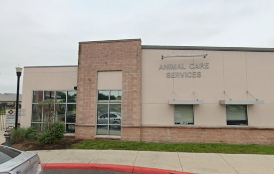 San Antonio Animal Care Services Advocates for Pet Adoption Over Purchase During the Holidays