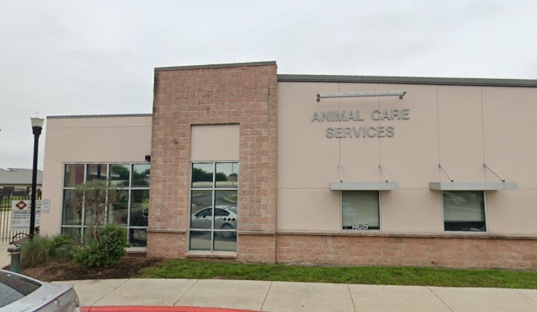 San Antonio Animal Care Services Advocates for Pet Adoption Over Purchase During the Holidays