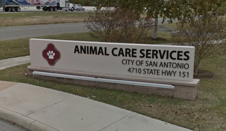 San Antonio Animal Care Services Warns of Spike in Pet Scams Ahead of Holidays