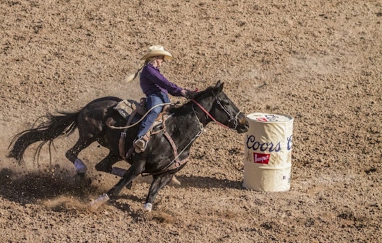 San Diego Rodeo Faces Uncertain Future as Funding Dries Up Amid Controversies