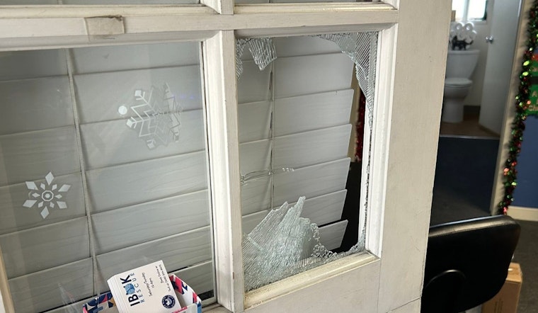 San Jose Kitten Cafe Burglarized, Rescue Says 'Heartbroken'