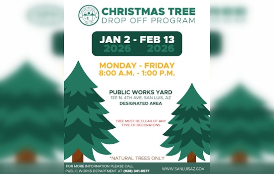 San Luis Announces Annual Christmas Tree Drop-Off Program for Eco-Friendly Disposal
