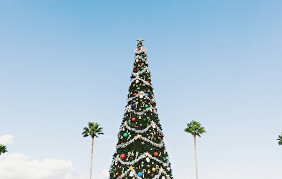 San Marcos to Sparkle with Annual Christmas Lighting Ceremony at Hays County Courthouse