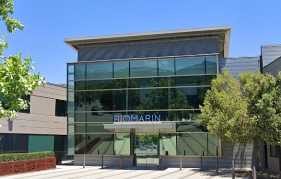 San Rafael’s BioMarin Drops $4.8 Billion Bet On Rare-Disease Rival