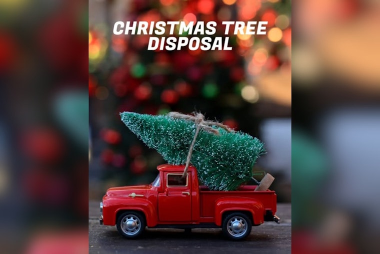 Sandy City Announces Christmas Tree Recycling Program, Designates Six Drop-Off Locations for Eco-Friendly Disposal