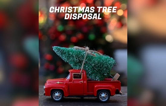 Sandy City Announces Christmas Tree Recycling Program, Designates Six Drop-Off Locations for Eco-Friendly Disposal