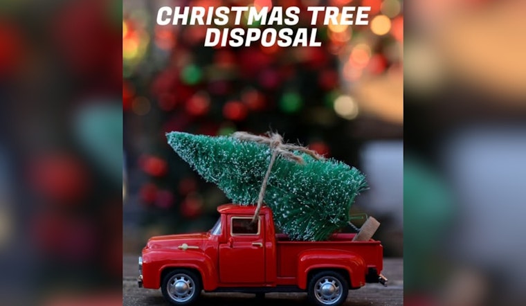 Sandy City Announces Christmas Tree Recycling Program, Designates Six Drop-Off Locations for Eco-Friendly Disposal
