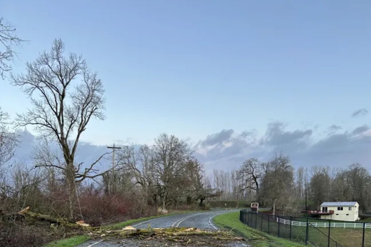 Sauvie Island's N.W. Reeder Road Reopens After Fallen Tree and Downed Power Line Disruption