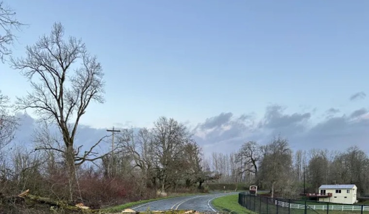 Sauvie Island's N.W. Reeder Road Reopens After Fallen Tree and Downed Power Line Disruption