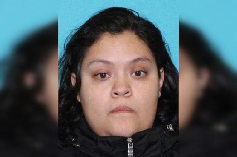Search On For Missing Chicago Woman Last Seen On South Hermitage