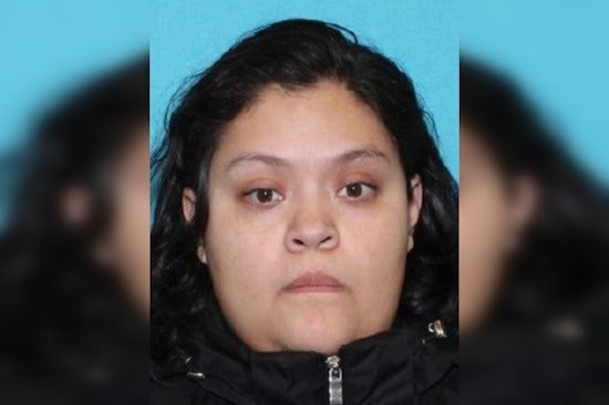 Search On For Missing Chicago Woman Last Seen On South Hermitage