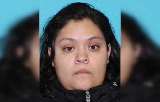 Search On For Missing Chicago Woman Last Seen On South Hermitage