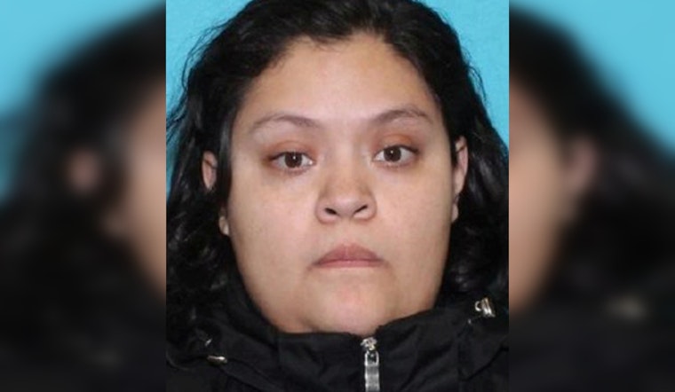 Search On For Missing Chicago Woman Last Seen On South Hermitage
