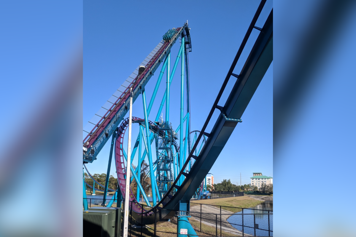 SeaWorld Orlando Claims Roller Coaster Guest Hit by Egret, Not Duck,