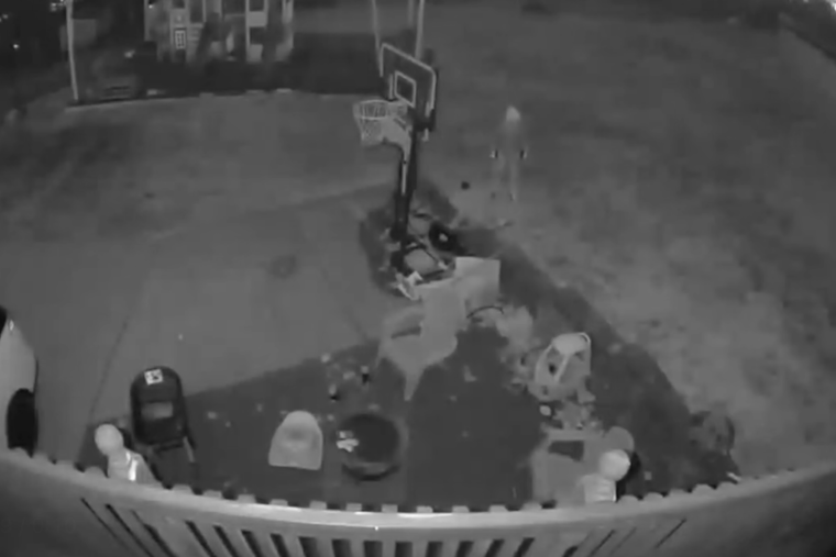 Shaler Township Police Seek Community Help to Identify Suspicious Nighttime Prowler in Holly Ridge