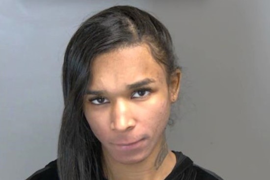 Shelby Township Drive-By Shooting Suspect from Oak Park Arraigned, Bond Set at $1 Million