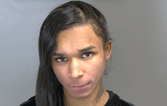 Shelby Township Drive-By Shooting Suspect from Oak Park Arraigned, Bond Set at $1 Million