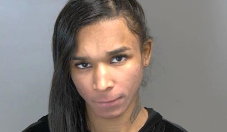 Shelby Township Drive-By Shooting Suspect from Oak Park Arraigned, Bond Set at $1 Million