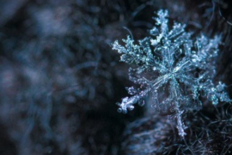 Shorewood Conservation Committee Advises Eco-Friendly Ice Management in Wisconsin