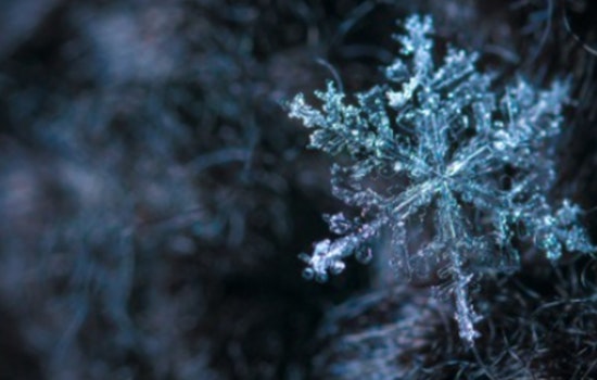 Shorewood Conservation Committee Advises Eco-Friendly Ice Management in Wisconsin
