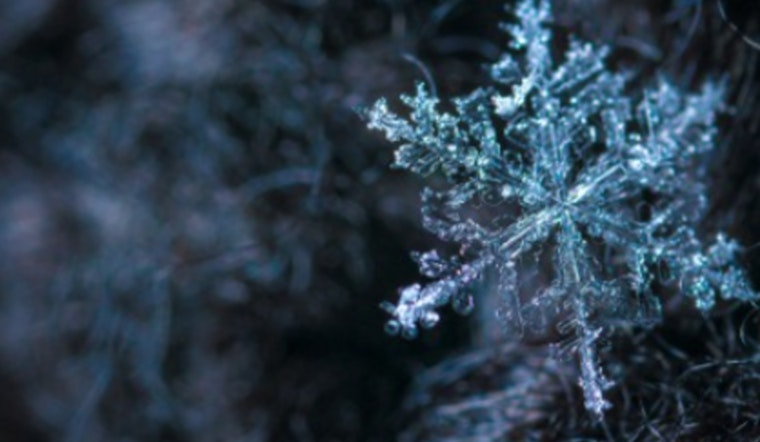 Shorewood Conservation Committee Advises Eco-Friendly Ice Management in Wisconsin