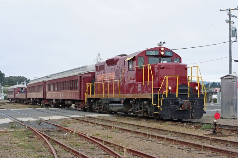 Skunk Train Turns Mendocino Redwood Run Into Giant Christmas Spectacle