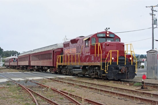 Skunk Train Turns Mendocino Redwood Run Into Giant Christmas Spectacle