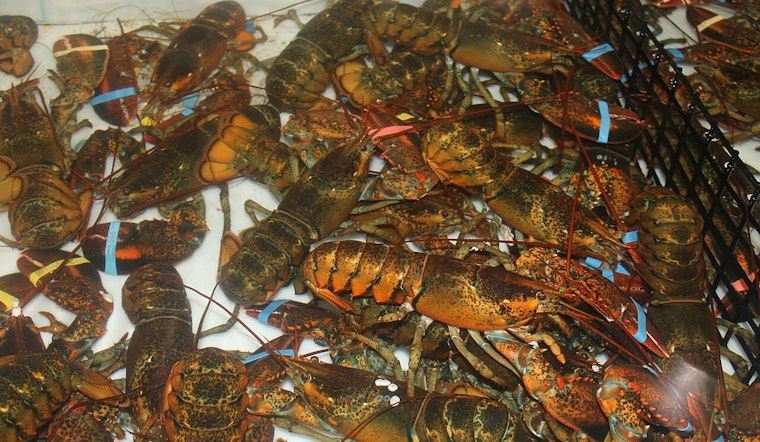 Sophisticated Heist at Sea as $400K of Live Lobsters Stolen on Route from Massachusetts to Midwest Costco