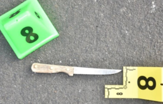 South San Francisco PD Releases Details on Officer-Involved Shooting, Subject Survives