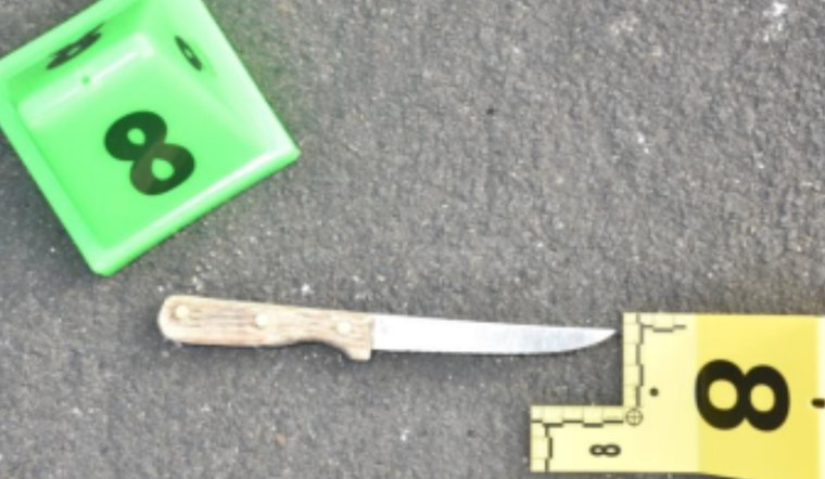 South San Francisco PD Releases Details on Officer-Involved Shooting, Subject Survives