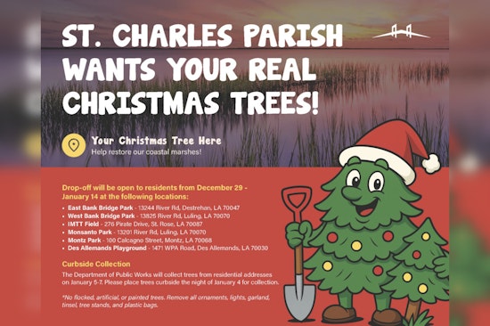 St. Charles Parish Launches Eco-Friendly Christmas Tree Recycling Program to Protect Local Marshes