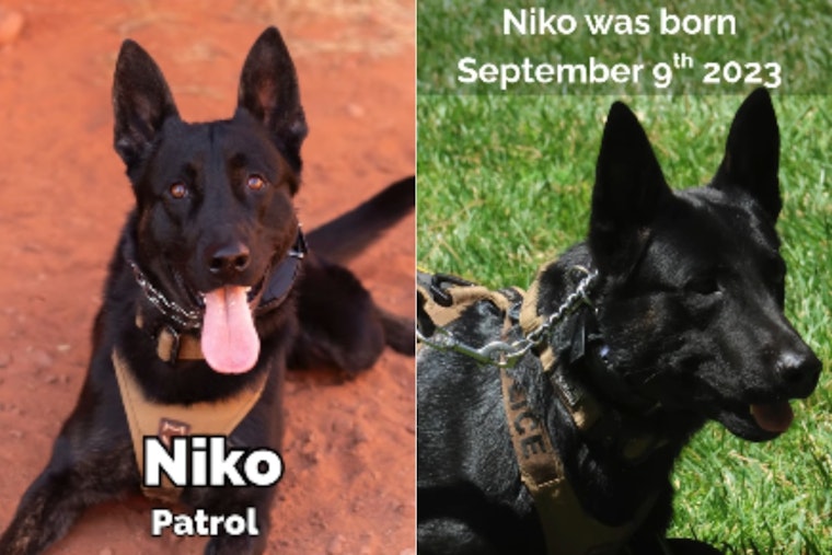 VIDEO: St. George PD Celebrates K9 Niko's 2nd Birthday: A Heroic Dutch Shepherd Keeping Utah Safe