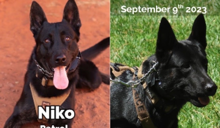 VIDEO: St. George PD Celebrates K9 Niko's 2nd Birthday: A Heroic Dutch Shepherd Keeping Utah Safe